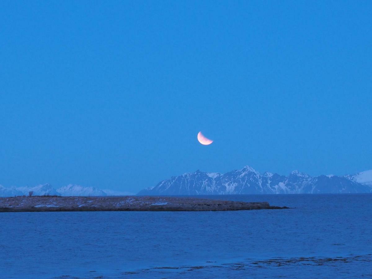 Lofoten Ocean View - Sandoy Gard Sand  Exteriör bild